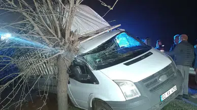 Adıyaman'da kamyonet ağaca çarptı : Sürücü yaralandı