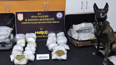 Sivas'ta uyuşturucu operasyonu : 12 kilo skunk ele geçirildi