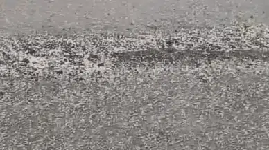 Elazığ Karakoçan'da dolu yağışı etkili oldu