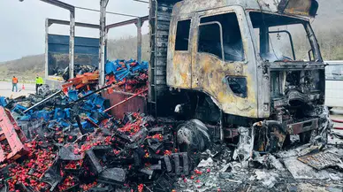 Tokat’ta çilek yüklü kamyon alev alev yandı