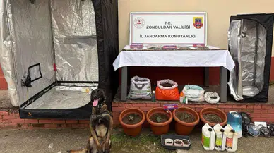 Zonguldak'ta uyuşturucu operasyonu : 2 tutuklu