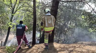 Hatay İskenderun'da yangın : Ekipler kontrol altına aldı