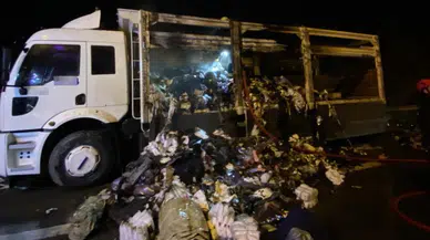 Kocaeli TEM Otoyolu'nda kamyon yangını