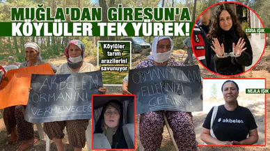 Muğla'dan Giresun'a köylüler tek yürek: Köylüler tarım arazilerini savunuyor