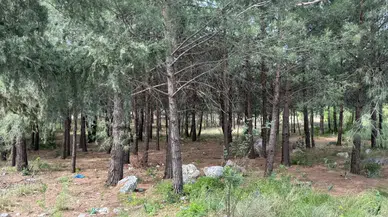 Hatay'da anne gömülü, oğlu ise vurulmuş halde bulundu