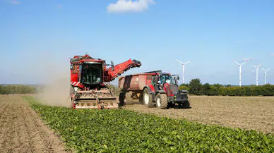 Tarım-ÜFE verileri açıklandı