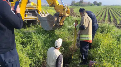 Antakya’da kuyuya düşen büyükbaş hayvan kurtarıldı