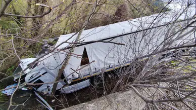 Tokat'ta tır dere yatağına devrildi : 3 kişi yaralandı, 6 hayvan telef oldu