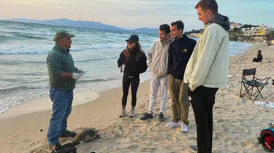 Kuşadası'nda iki farklı tür deniz kaplumbağası ölü bulundu