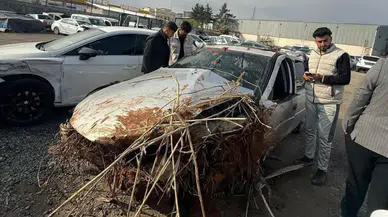 Şanlıurfa'da otomobil tarlaya uçtu : Sürücü hayatını kaybetti