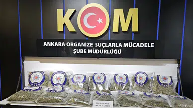 Ankara'da uyuşturucu operasyonu : 25 kilogram skunk ele geçirildi