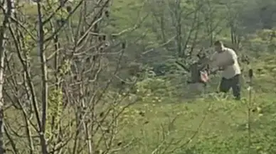 Avcılar'da köpeğe kötü muamelede bulunan şüpheli yakalandı : Adliyeye sevk edildi