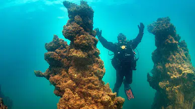 Van Gölü’nün mikrobiyalitleri Guinness için gün sayıyor