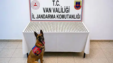 Van'da uyuşturucu operasyonu : 8 şüphelinin midesinden 3 kiloyu aşkın esrar çıktı