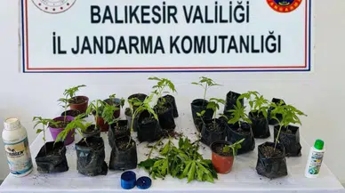 Balıkesir'de uyuşturucu operasyonu : 64 şüpheli yakalandı