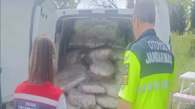 Tekirdağ’da otoyolda 1 ton 200 kilogram mumbar yakalandı : İl Tarım Müdürlüğü imha etti