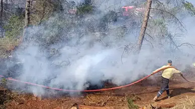 Hatay'da orman yangını
