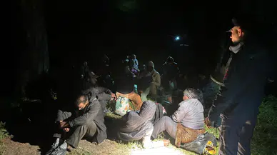 Balıkesir'de 29 düzensiz göçmen yakalandı