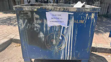 İzmir'de çöp kutusunda 33 ölü kedi bulunmuştu : Veteriner serbest bırakıldı