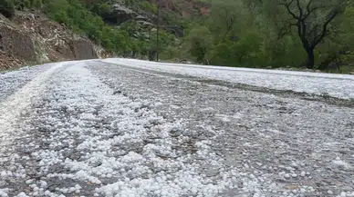 Erzincan Çayırlı'da dolu yağışı etkili oldu