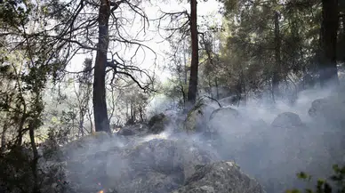 Fethiye'deki orman yangını kontrol altına alındı