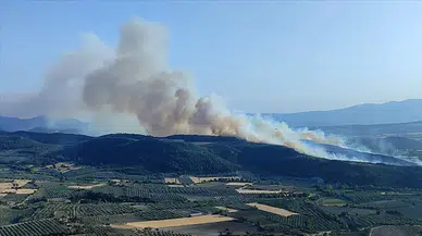 Manisa’da yangın alarmı: Ormanlara giriş yasaklandı