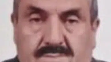 Samsun'da yaşlı adam, devrilen ağacın altında kalarak hayatını kaybetti