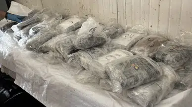 Kapıkule sınırında uyuşturucu operasyonu : 47 kilo 910 gram kokain ele geçirildi