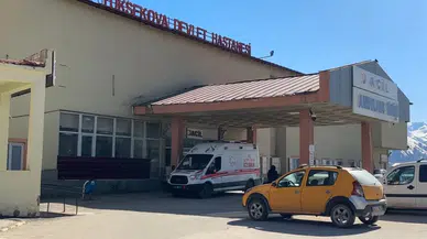 Yüksekova’da yaylada patlama : 17 yaşındaki çoban yaralandı, 3 koyun telef oldu