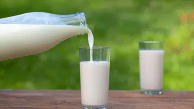 Çiğ süt üretimi yüzde 4,9 azaldı