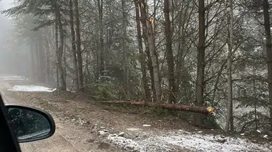 Bolu'da mayıs ayında kar sürprizi : Yüksek kesimler beyaza büründü