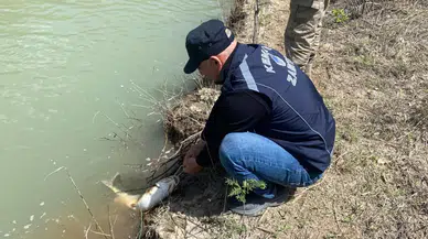 Erzincan Karasu Nehri'nde kaçak avcılık denetimi