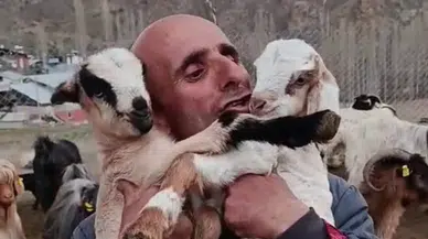 Erzurumlu çobanın oğlak sevgisi büyük ilgi gördü