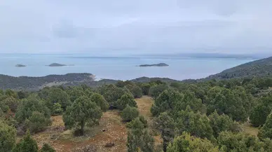 Türkiye'nin en büyük tatlı su gölü Beyşehir koruma altına alınıyor !