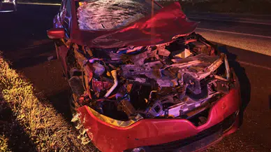 Bingöl'de otomobil ineğe çarptı : Kazada 1 kişi yaralandı