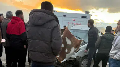 Hakkari'de zincirleme kaza : 11 kişi yaralandı