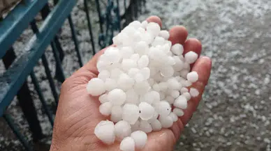 Malatya'da sağanak ve dolu yağışı kayısı bahçelerine zarar verdi