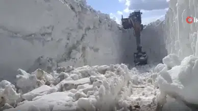 Şırnak Beytüşşebap'ta yol çalışmaları : Karlı yollar açılıyor