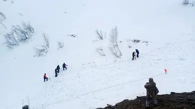 Artvin'de çığ felaketinde kaybolan çobanı arama çalışmaları yeniden başlatıldı