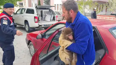 Yozgat'ta maymun bulundu, koruma altına alındı