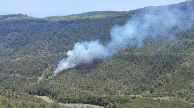 Mersin Erdemli'de orman yangını : Ekipler alevleri kontrol altına aldı