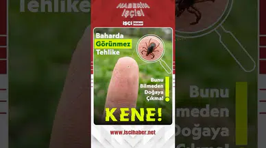 Bahar aylarında kene alarmı : Peki, keneden korunmak için neler yapmalıyız?