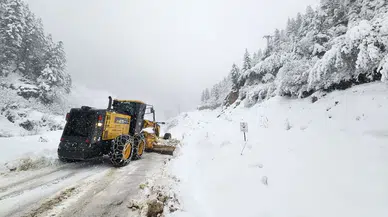 Van'da kar esareti : 30 yerleşim birimine ulaşım sağlanamıyor