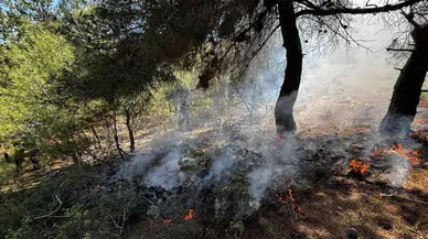 Bilecik'te ormanlık alanda yangın : Çöp dökülen arazide alevler yükseldi