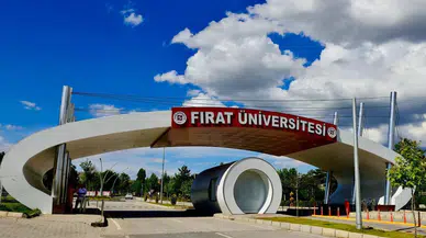 Fırat Üniversitesi, Türkiye’nin 'Patent Şampiyonu Üniversiteleri' arasında yer aldı
