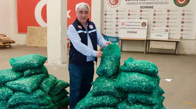 Edirne'de 760 kilogram kum midyesi ele geçirildi