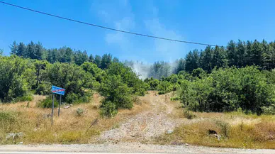 Muğla Menteşe'de orman yangını