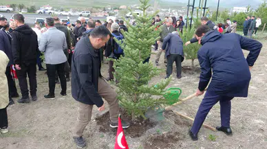 Ardahan'da Şehit ve Gazi Ormanı açıldı : Fidanlar toprakla buluştu