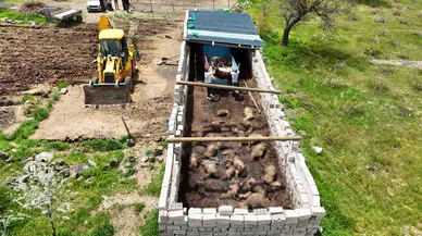 Nevşehir’de ağıla giren kurtlar 40 koyunu telef etti