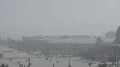 Samsun'da pus ve sis etkili oldu
